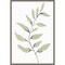 Lulu I (Fern Frond) by Corrie Golden 16-in. W x 23-in. H. Canvas Wall Art Print Framed in Grey